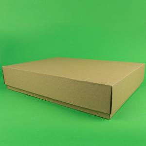 Cutie cu capac detasabil 100 buc/set natur 440X325X65 mm