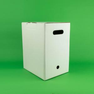 Cutii arhivare CO3 alb 260X200X330 50 buc/set