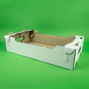 Ladita transport 100 buc/set CO3, alb 350x250x100 mm
